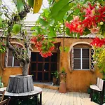 Leafy Greens Clay House