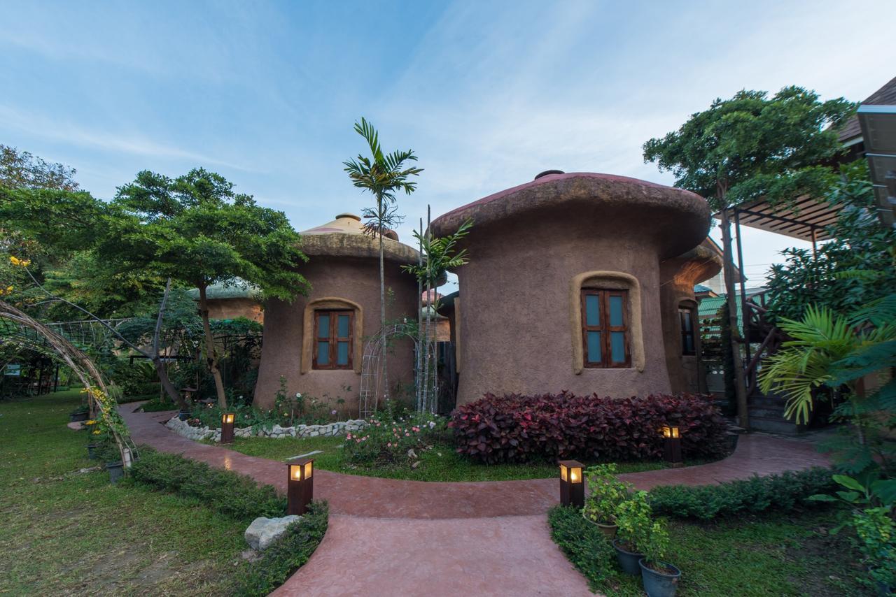Leafy Greens Clay House