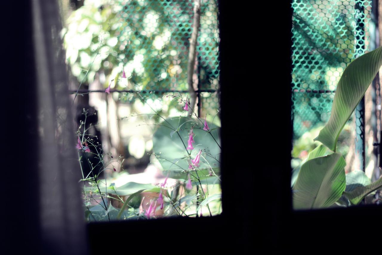 Leafy Greens Clay House Luxury tent 2*