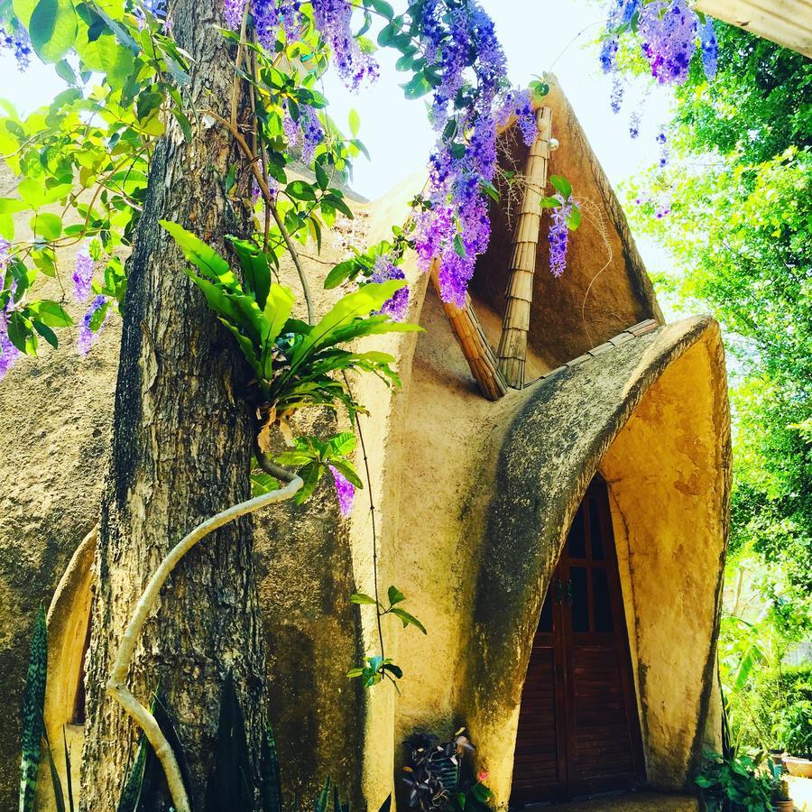 Leafy Greens Clay House Luxury tent 2*