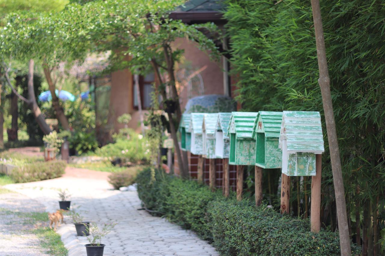 Leafy Greens Clay House 2* Chiang Mai